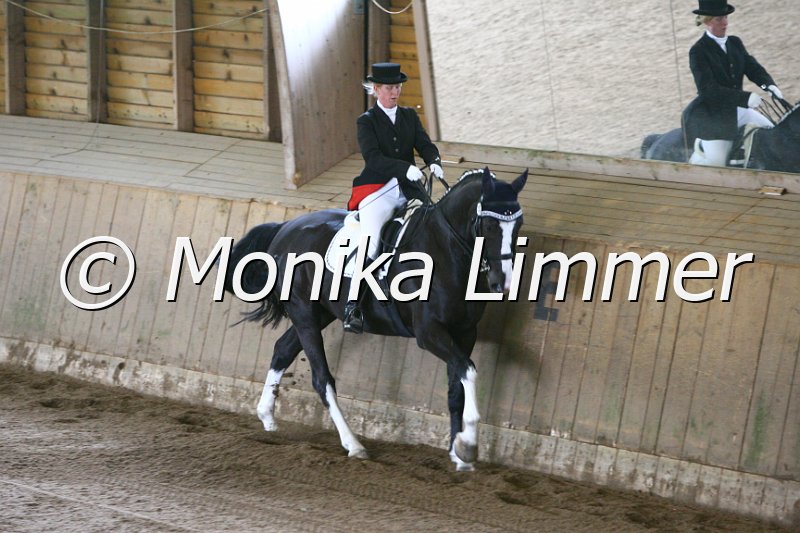 006M5163_Dressurpferde L.JPG